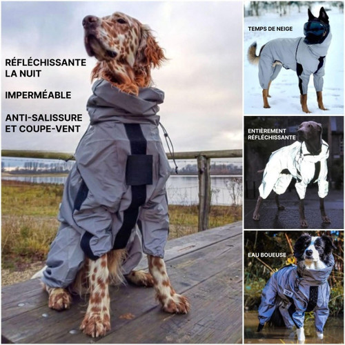 Manteau Imperméable Pour Chien