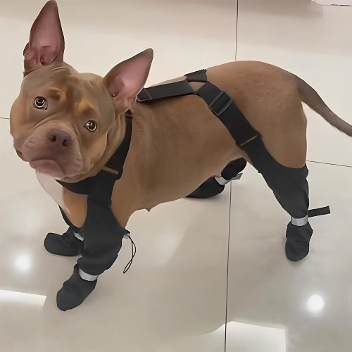 Bottes Pour Chien Imperméables