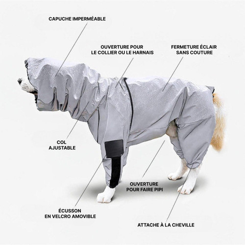 Manteau Imperméable Pour Chien