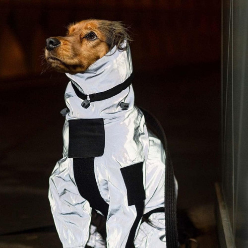 Manteau Imperméable Pour Chien