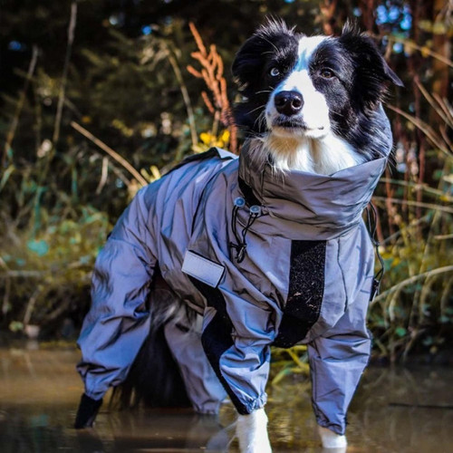 Manteau Imperméable Pour Chien