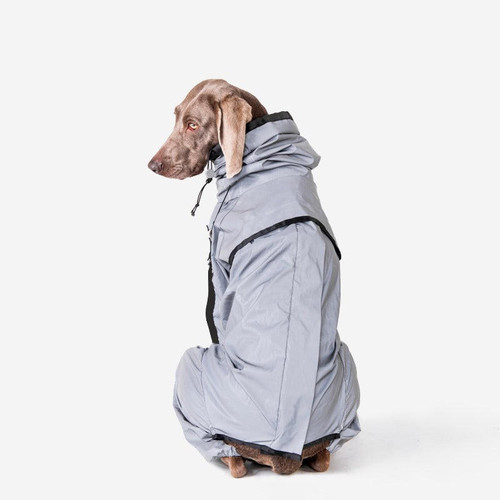 Manteau Imperméable Pour Chien