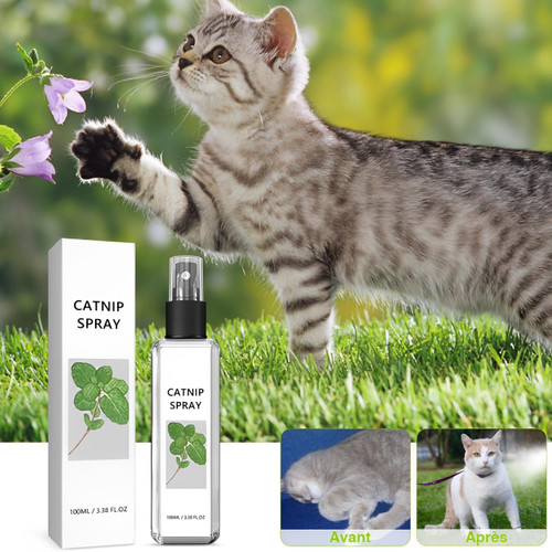 Spray Herbe À Chat Naturel