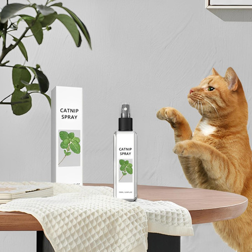 Spray Herbe À Chat Naturel
