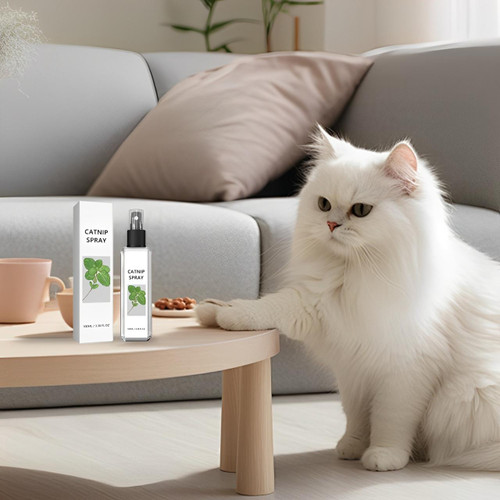 Spray Herbe À Chat Naturel