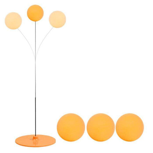 Entraîneur De Tennis De Table