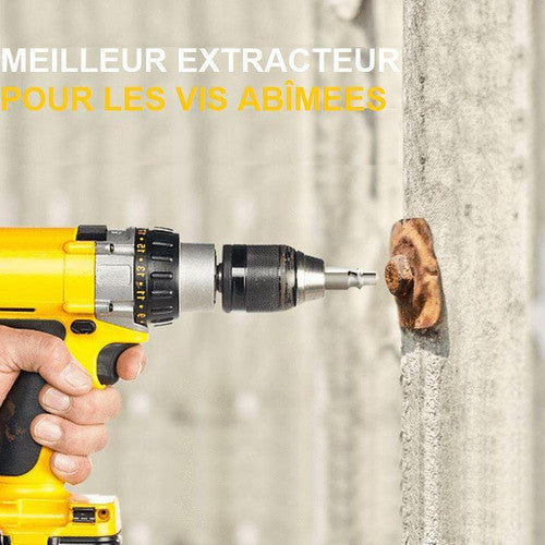 Extracteur De Vis De Première Qualité (lot de 5)