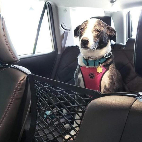 Filet de Rangement pour Voiture
