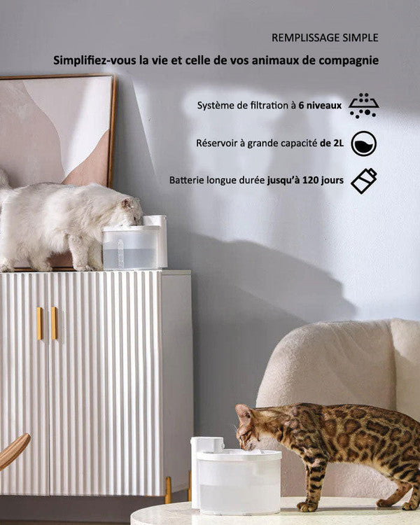 Fontaine à eau Pour Chat Sans Fil - CatCaire™