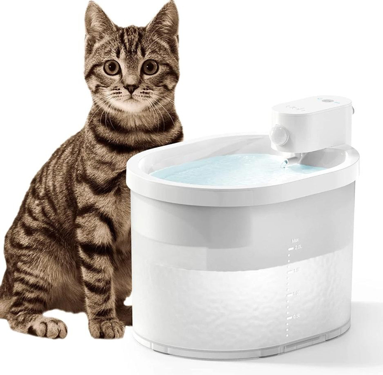 Fontaine à eau Pour Chat Sans Fil - CatCaire™