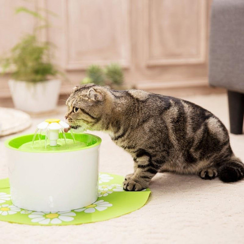 Fontaine Fleur pour Animaux