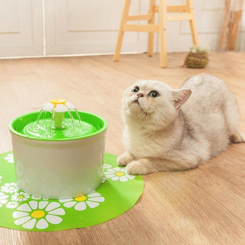 Fontaine Fleur pour Animaux