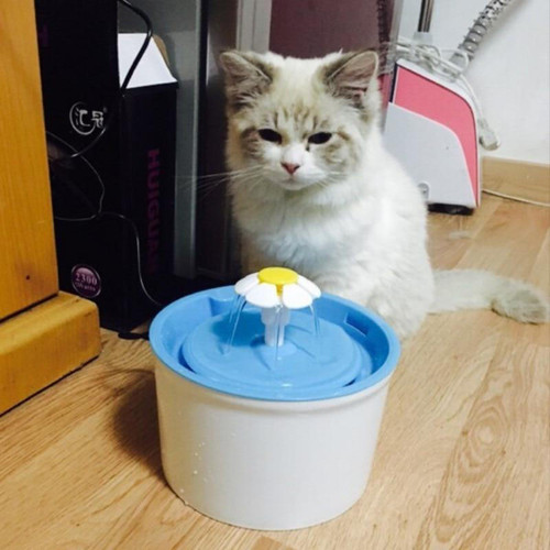 Fontaine Fleur pour Animaux