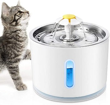 Fontaine à eau pour chat/chien