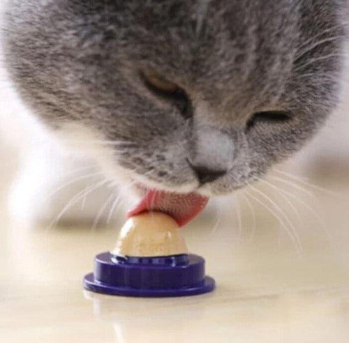 Friandise Pour Chat