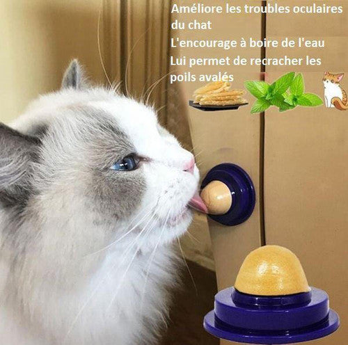 Friandise Pour Chat