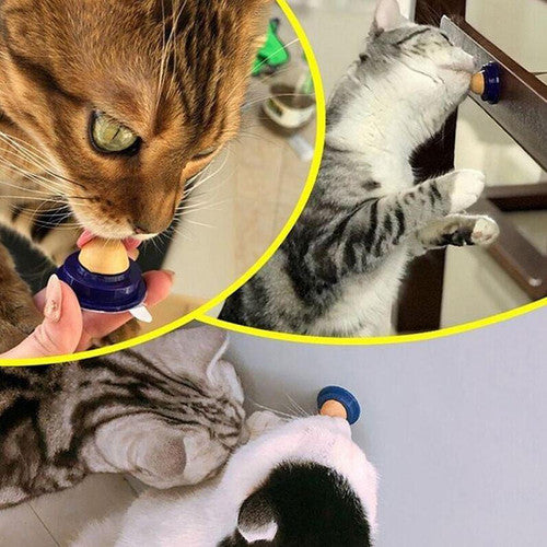 Friandise Pour Chat