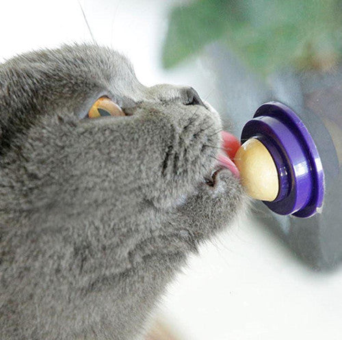 Friandise Pour Chat