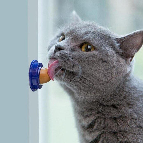 Friandise Pour Chat