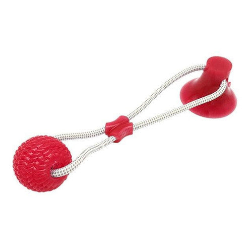Jouet à Mâcher Spécial Molaire Flexible pour Chien