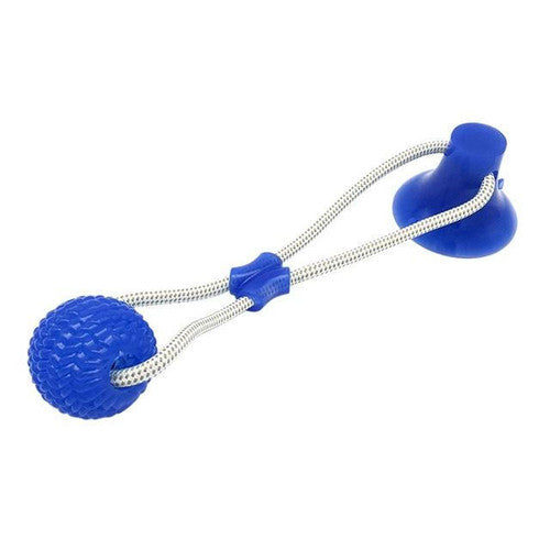 Jouet à Mâcher Spécial Molaire Flexible pour Chien