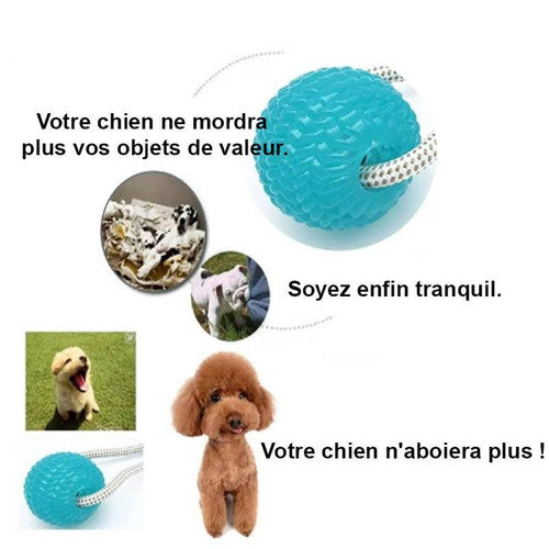 Jouet à Mâcher Spécial Molaire Flexible pour Chien