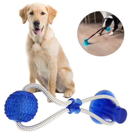 Jouet à Mâcher Spécial Molaire Flexible pour Chien