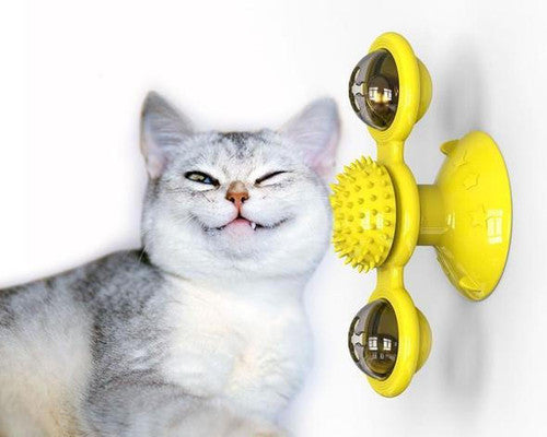 Jouet pour chat - Nettoyage dents des chats