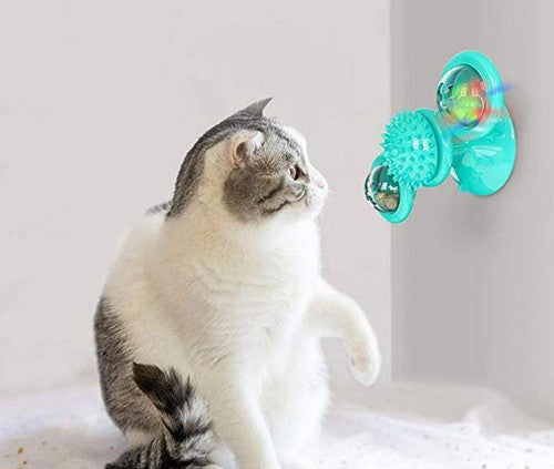 Jouet pour chat - Nettoyage dents des chats