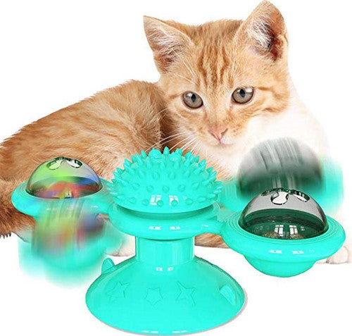 Jouet pour chat - Nettoyage dents des chats