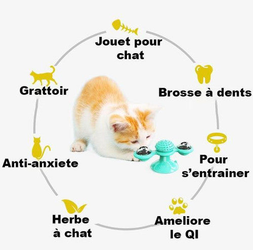 Jouet pour chat - Nettoyage dents des chats