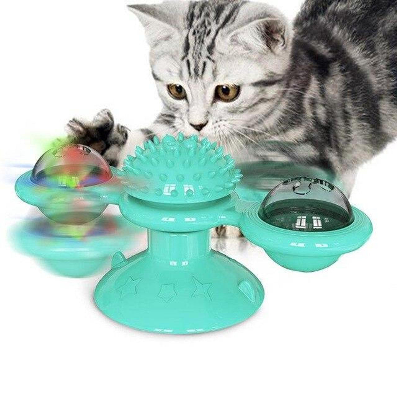 Jouet pour chat - Nettoyage dents des chats