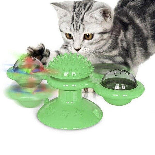 Jouet pour chat - Nettoyage dents des chats