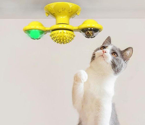 Jouet pour chat - Nettoyage dents des chats