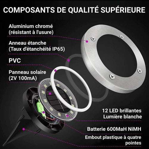 Lampe Solaire LED Extérieure