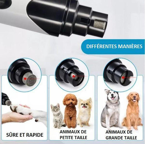 Lime à Ongles Électrique Pour Chien - PetNails™