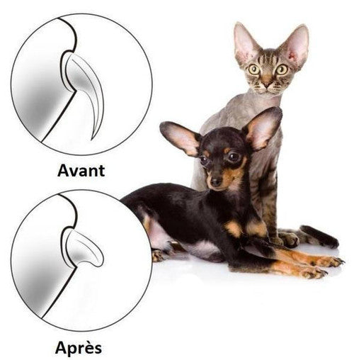 Lime à Ongles Électrique Pour Chien - PetNails™