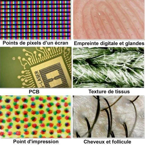 Microscope Numérique Portable 1080p