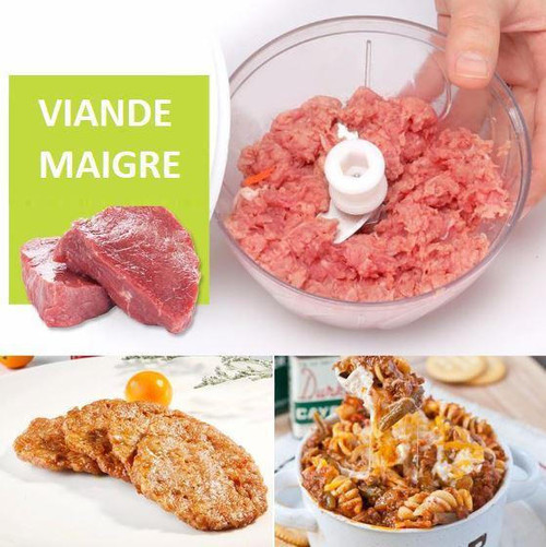 Mini Hachoir Manuel
