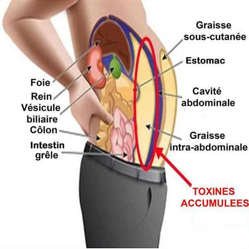 Patchs Minceur Détoxifiant