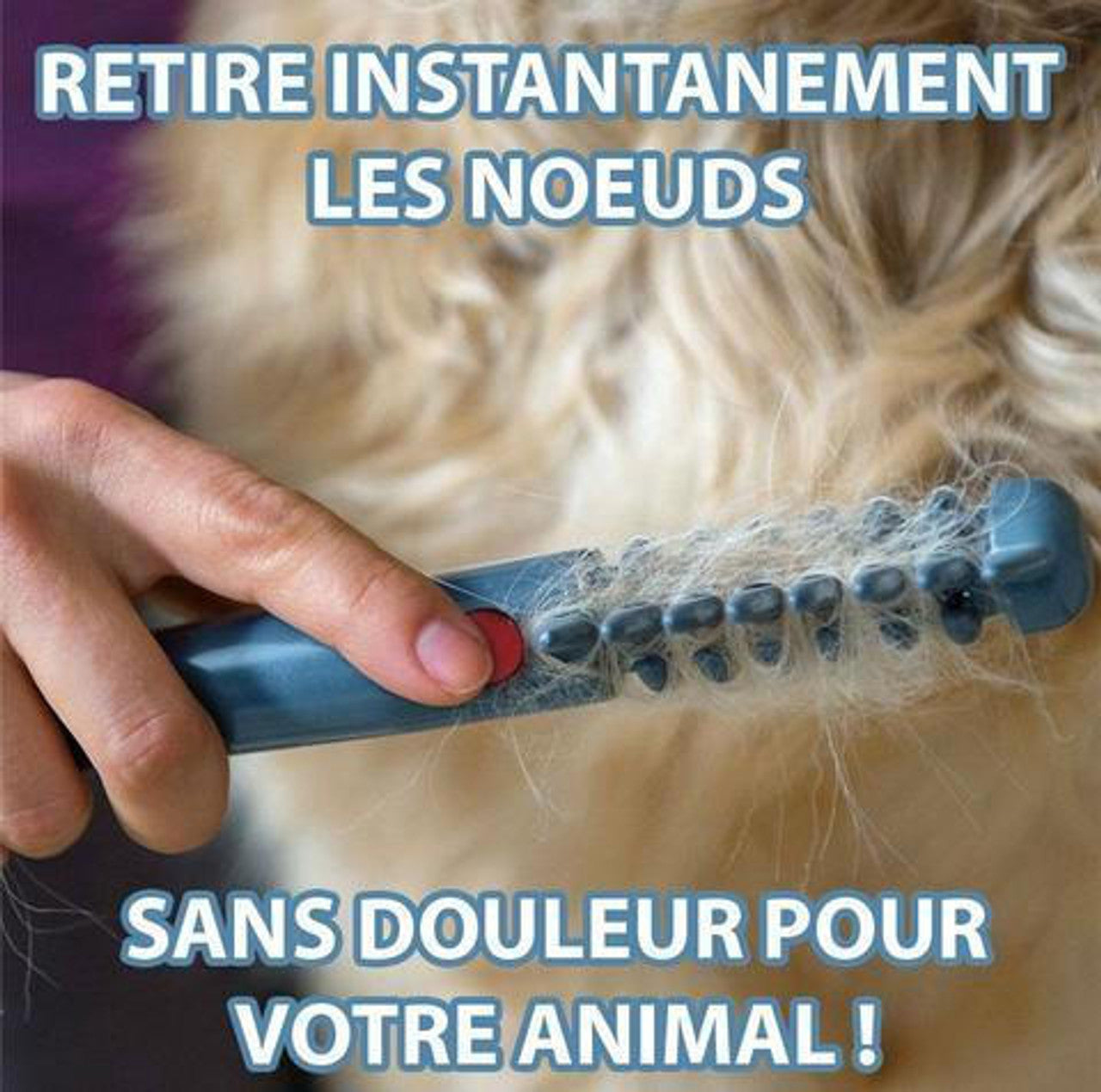 Peigne de Démêlage et de Toilettage