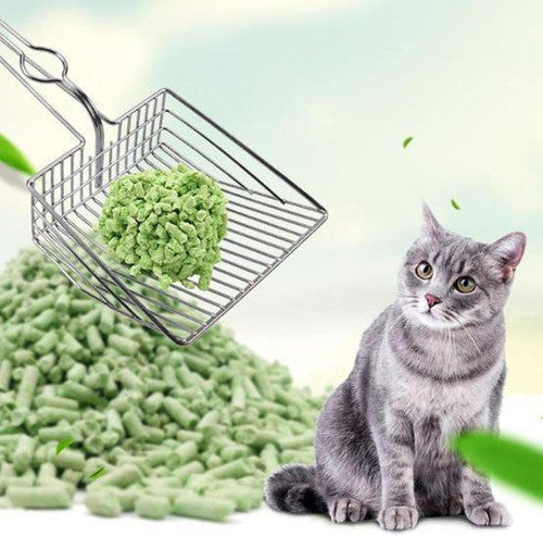 Pelle à Litière Pour chat