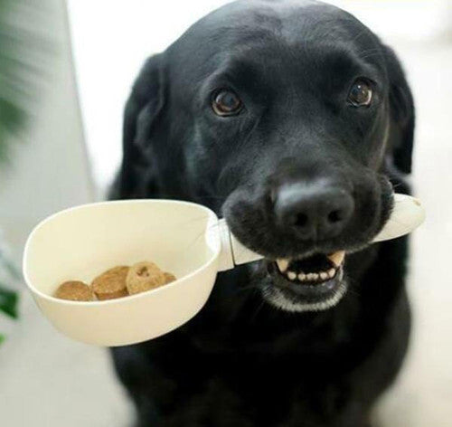 Pelle Alimentaire Numérique Pour Animaux Domestiques (chien et chat)