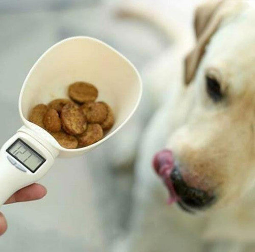 Pelle Alimentaire Numérique Pour Animaux Domestiques (chien et chat)