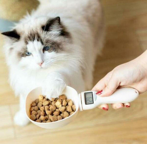 Pelle Alimentaire Numérique Pour Animaux Domestiques (chien et chat)