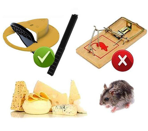 Piège à Souris Avec Couvercle De Seau