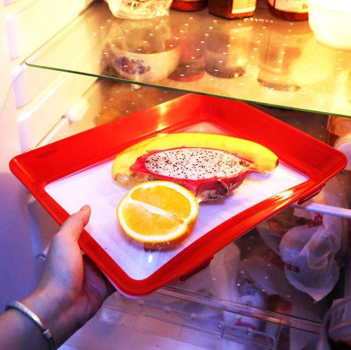 Plateau De Conservation Des Aliments
