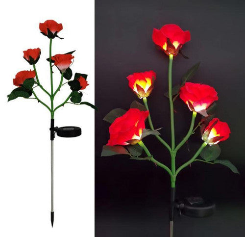 Rose Lumineuse Solaire