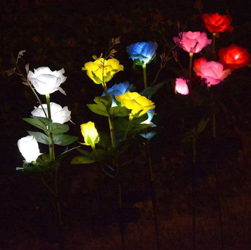Rose Lumineuse Solaire