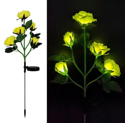 Rose Lumineuse Solaire